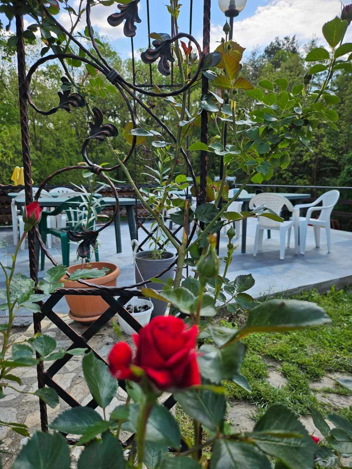 Orehite-Family Hotel ,Food & Pool Bozhichen ภายนอก รูปภาพ